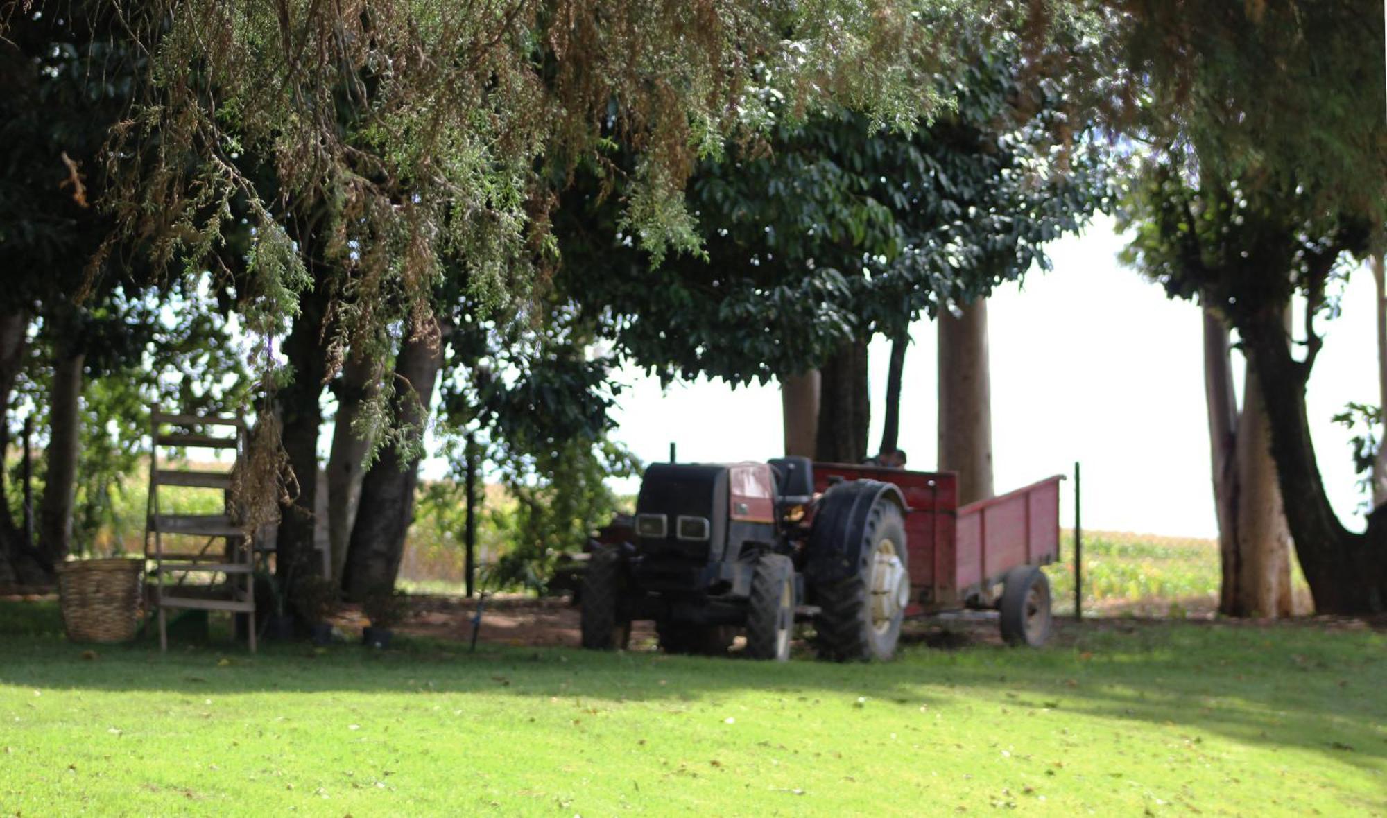 Limoeiro Da Concordia Hotel Fazenda De Charme Cabreúva Exteriör bild